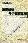 农民进镇与小城镇发展 封面