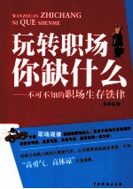 玩转职场你缺什么  不可不知的职场生存铁律 封面