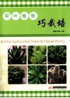 观叶植物巧栽培 封面
