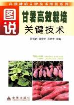 图说甘薯高效栽培关键技术 封面