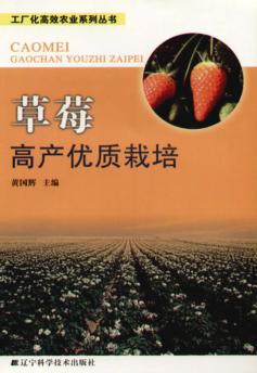 草莓高产优质栽培 封面
