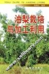 油梨栽培与加工利用 封面