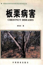板栗病害 封面