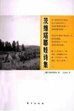 茨维塔耶娃诗集 封面
