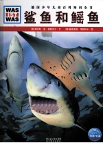 鲨鱼和鳐鱼 封面