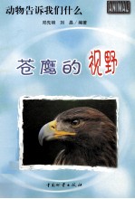 苍鹰的视野 封面