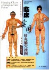 临床实用针灸腧穴挂图 封面