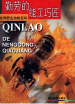 勤劳的能工巧匠 封面