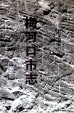 梅河口市志 封面