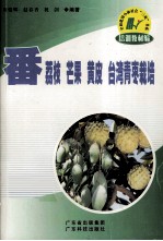 番荔枝  芒果  黄皮  台湾青枣栽培 封面