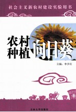 农村种植  向日葵 封面
