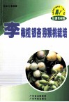 李  橄榄  银杏  猕猴桃栽培 封面