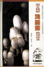 图文精解鸡腿菇栽培技术 封面