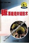 板栗栽培关键技术 封面