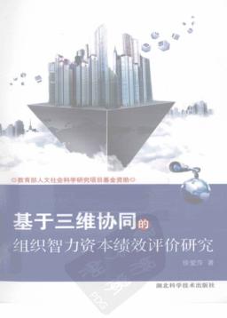 基于三维协同的组织智力资本绩效评价研究 封面