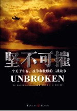 坚不可摧 封面