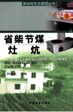 省柴节煤灶炕 封面