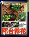 阳台养花  第5版 封面
