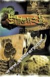 生物世界之最 封面
