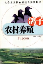 农村养殖  鸽子 封面