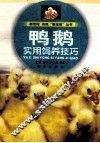 鸭、鹅-实用饲养技巧 封面