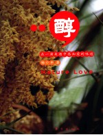 醇  在一滴美酒中感知爱的味道 封面