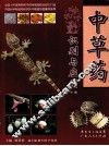 中草药识别与应用  下 封面