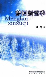 梦回新雪季 封面