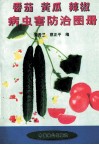 番茄、黄瓜、辣椒病虫害防治图册 封面