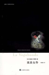 流浪女伶 电子书封面