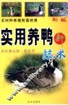 农村种养殖致富经典  科学养蜂鸭新技术 封面