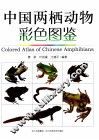 中国两栖动物彩色图鉴 封面