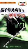 茄子常见病害的明断巧治 封面
