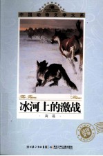 冰河上的激战 封面