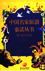 想飞的小灰鼠 封面