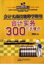 会计实战技能即学即用  会计实务300个关键点 封面