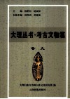 大理丛书  考古文物篇  卷9 封面