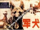 军犬 封面