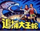追捕大王蛇 封面