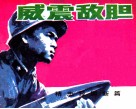 精忠报国新篇  威震敌胆 封面