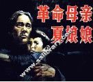 革命母亲夏娘娘 封面