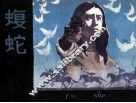 蝮蛇 封面