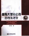 国有大型分公司治理及评价 封面
