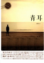 青耳  17岁时光旅行 封面
