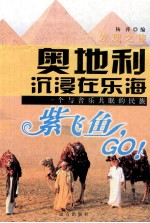 奥地利沉浸在乐海 封面