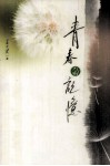 青春的记忆 封面