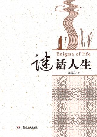谜话人生 封面