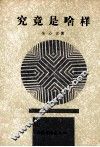 究竟是啥样 封面