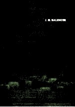 麦田里的守望者 封面