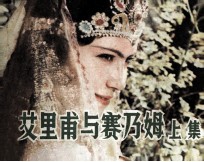 艾里甫与赛乃姆  上 封面